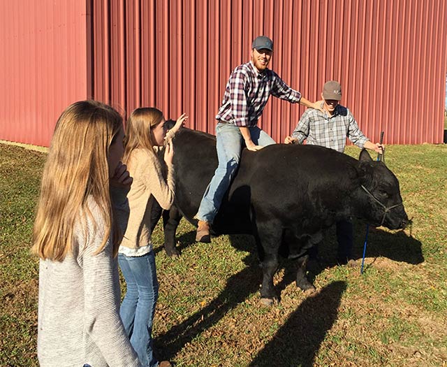 Guy on Bull